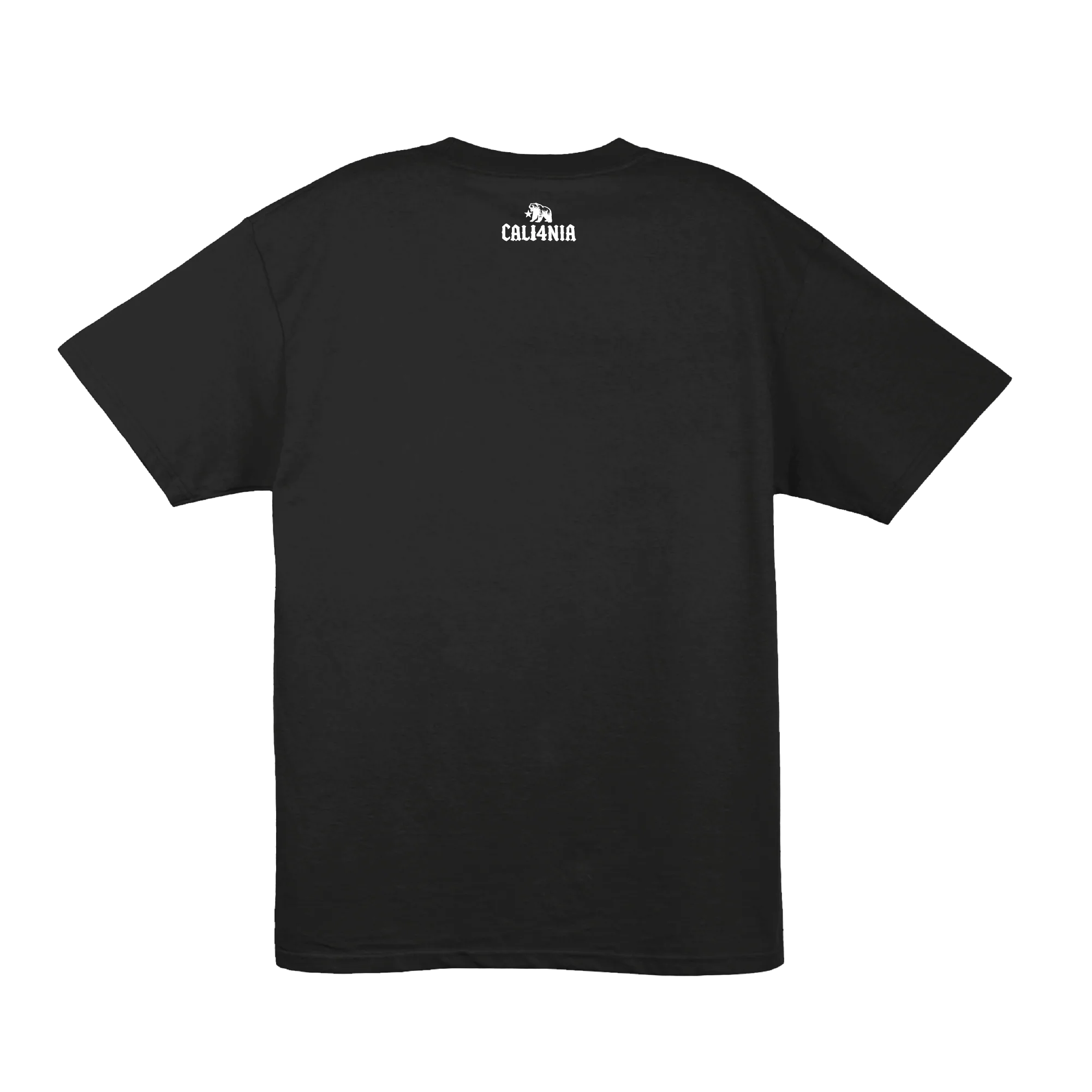 Respect the Locals Tee — Black (back)