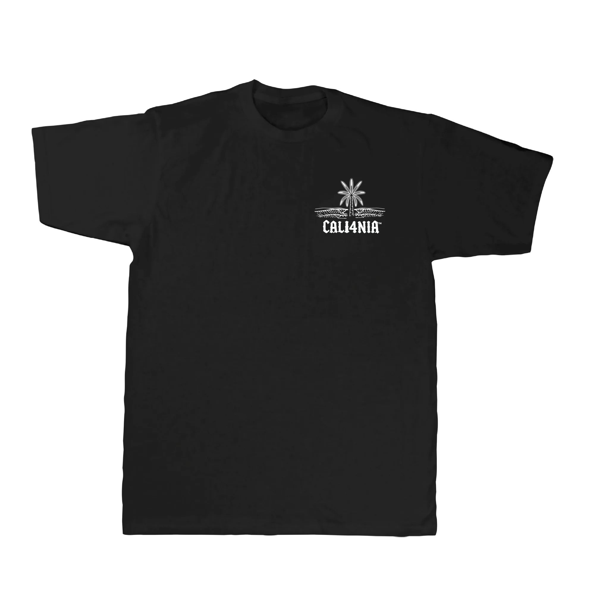 Saltwater Tribe Tee — Black (front)