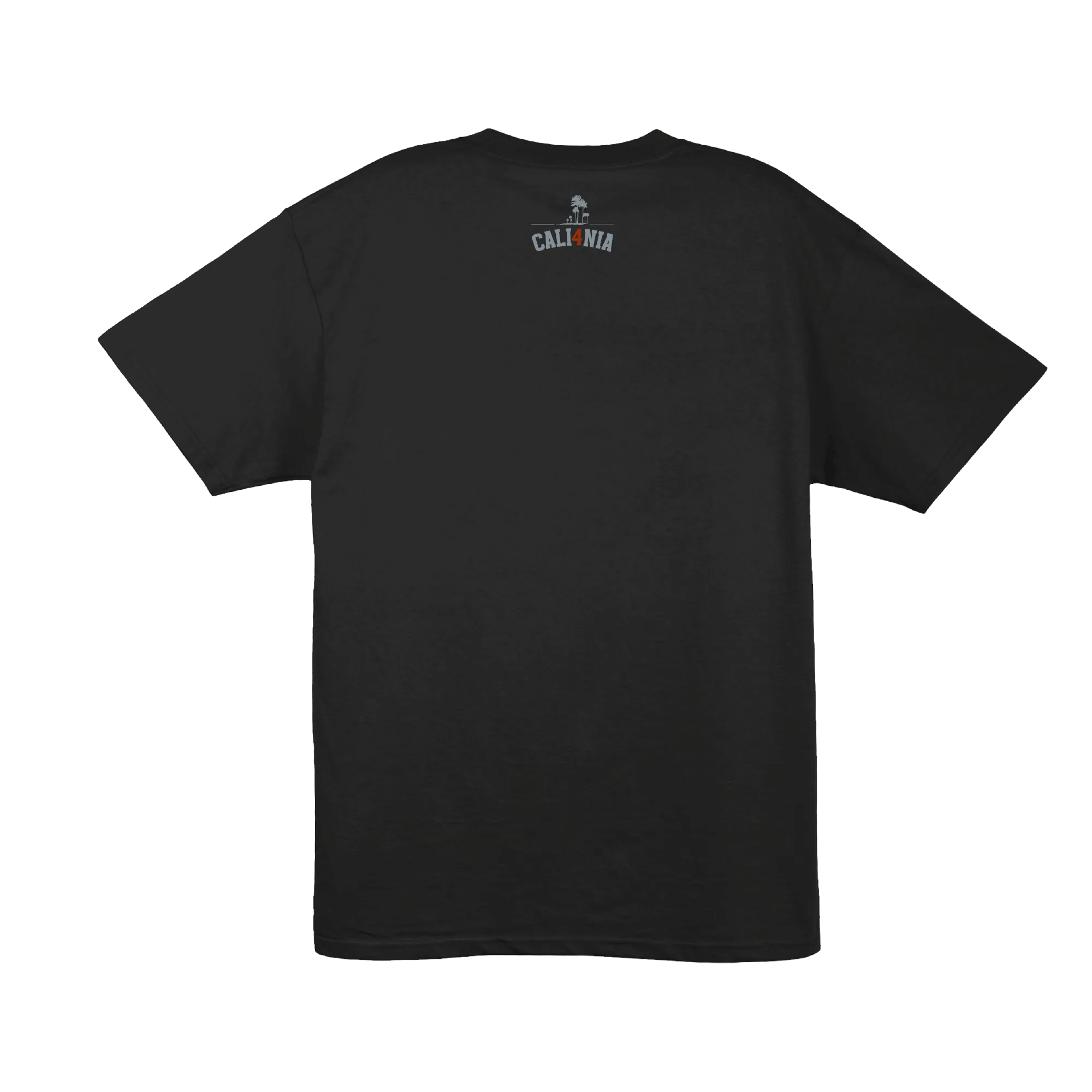Collegiate Tee — Black (back)