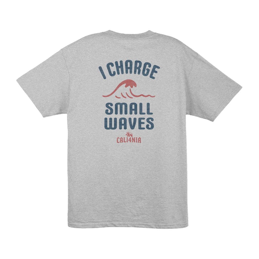 I Charge Small Waves Tee — Heather Grey (back)