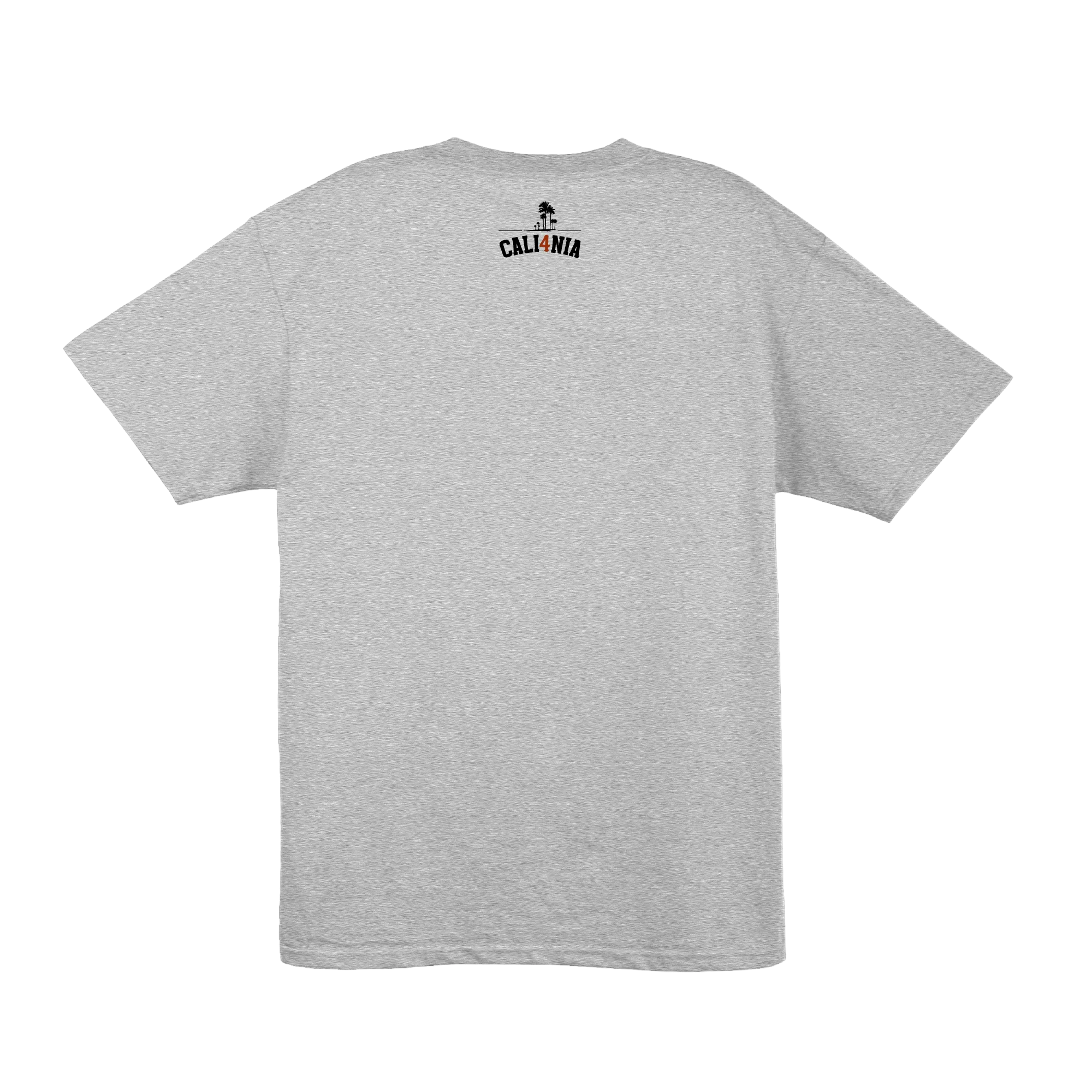 Collegiate Tee — Heather Grey (back)