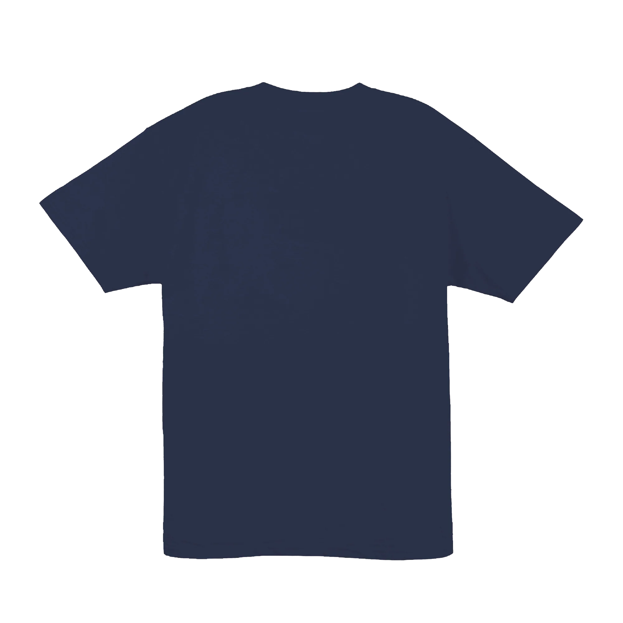 South Swells Tee — Navy (back)
