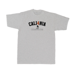 Collegiate Tee — Heather Grey (front)