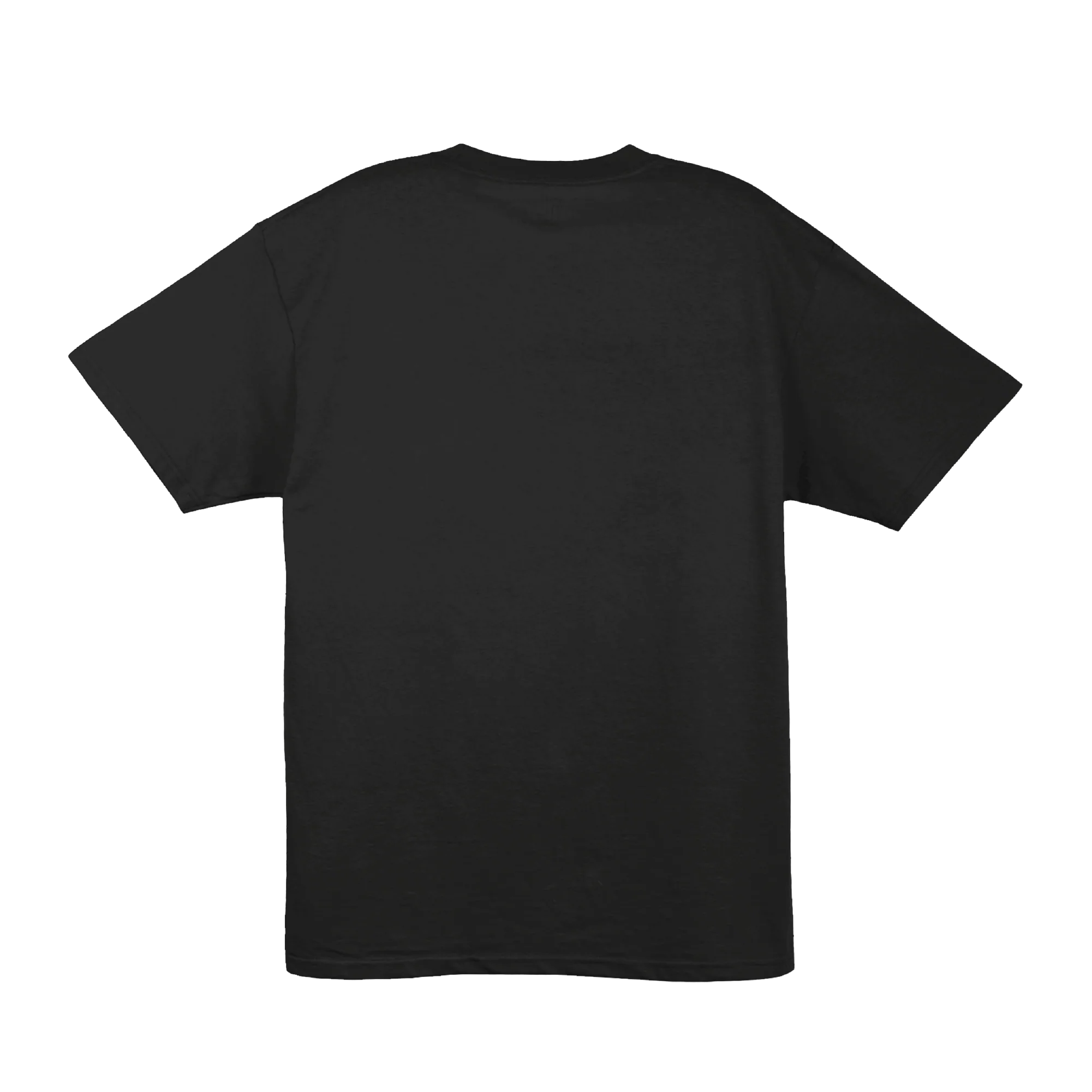 South Swells Tee — Black (back)
