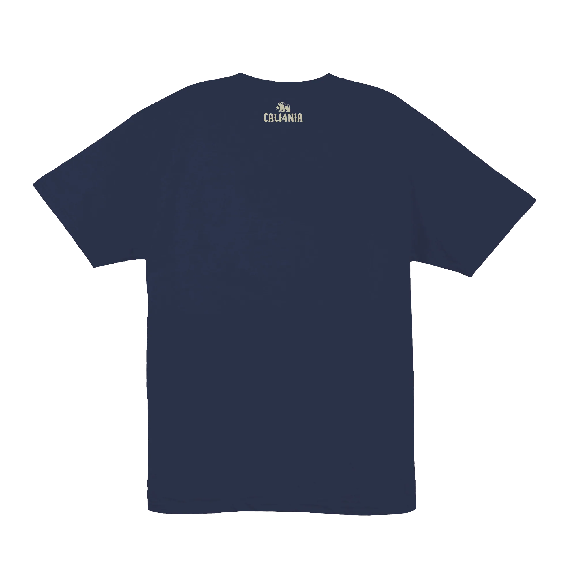 Respect the Locals Tee — Navy (back)