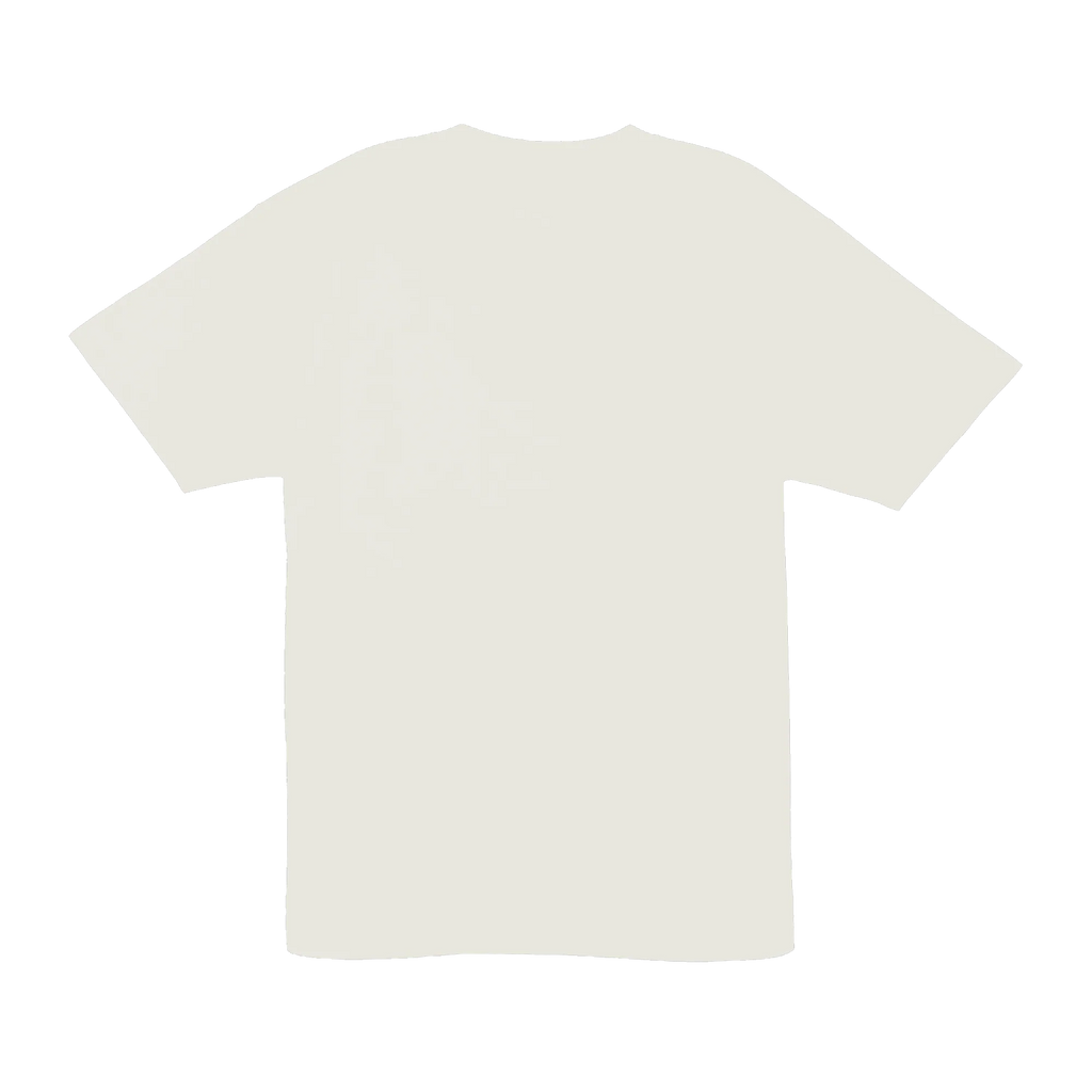South Swells Tee — Natural (back)