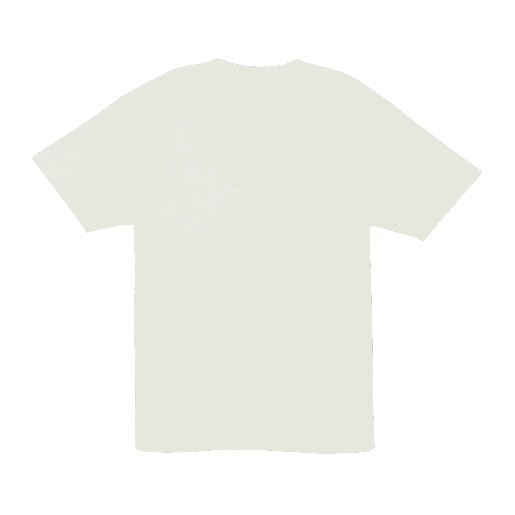 South Swells Tee — Natural (back)