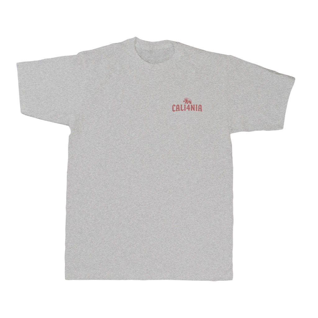 I Charge Small Waves Tee — Heather Grey (front)