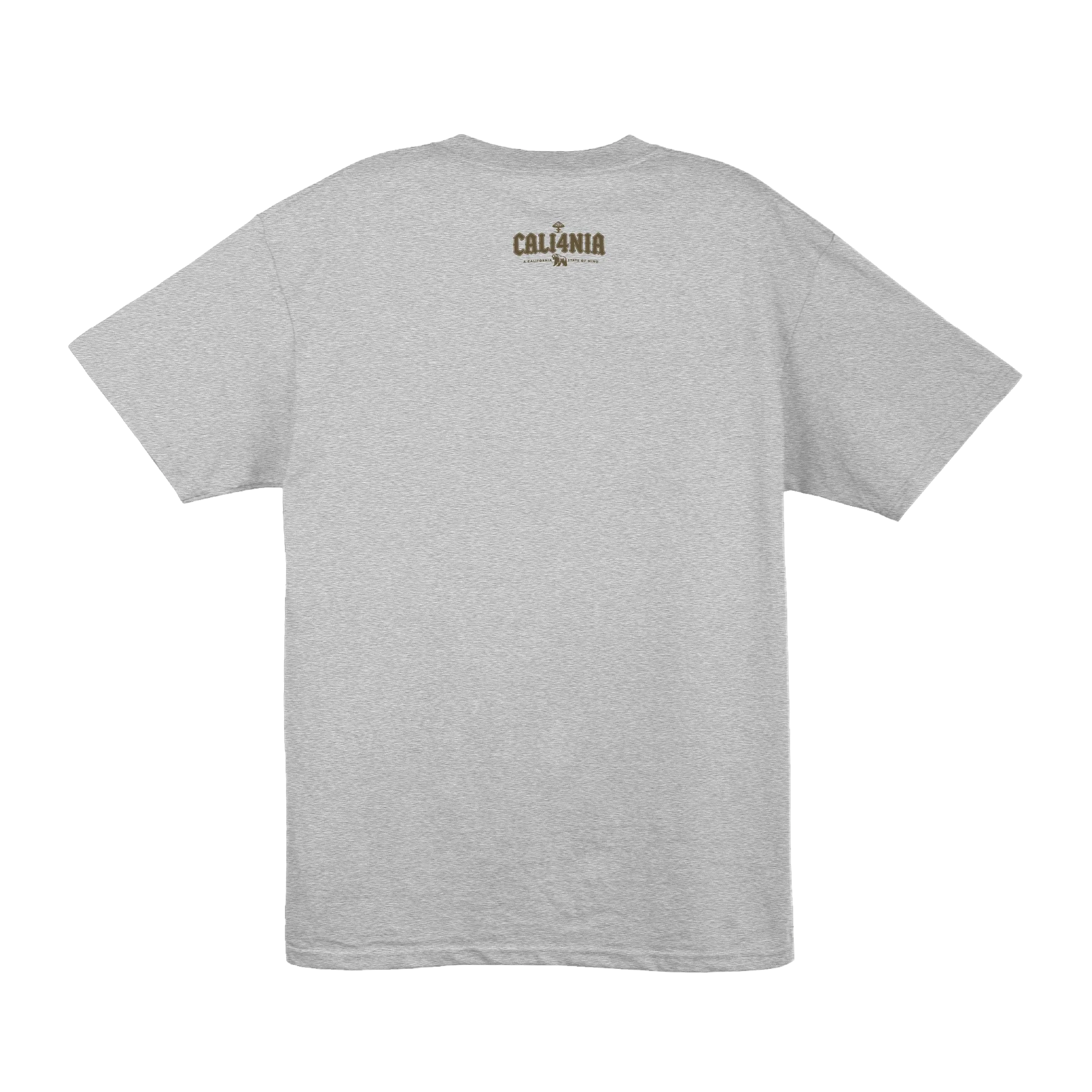 Down South Tee — Heather Grey (back)